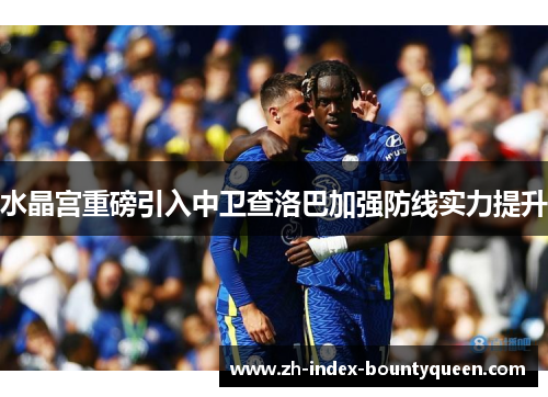水晶宫重磅引入中卫查洛巴加强防线实力提升